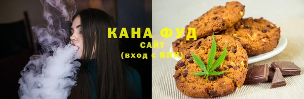 хмурый Тавда