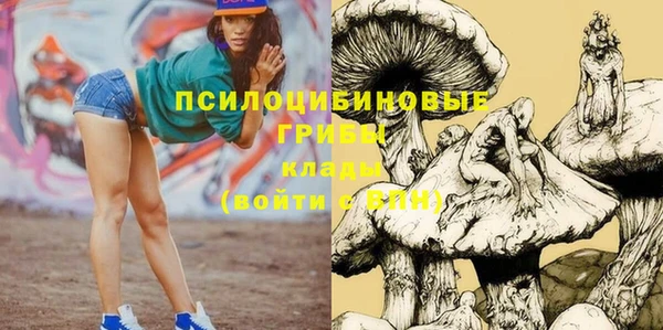 а пвп мука Белокуриха