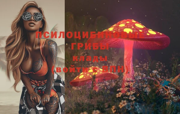 хмурый Тавда