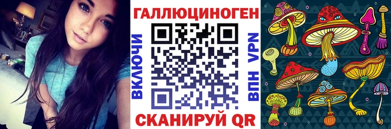 Галлюциногенные грибы GOLDEN TEACHER  ОМГ ОМГ зеркало  Шуя 